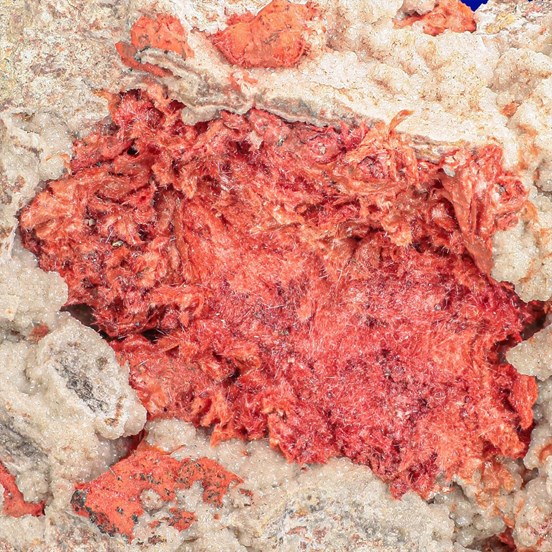 Chalcotrichite-Tsumeb Mine | Tsumeb | Otjikoto Region | Namibia